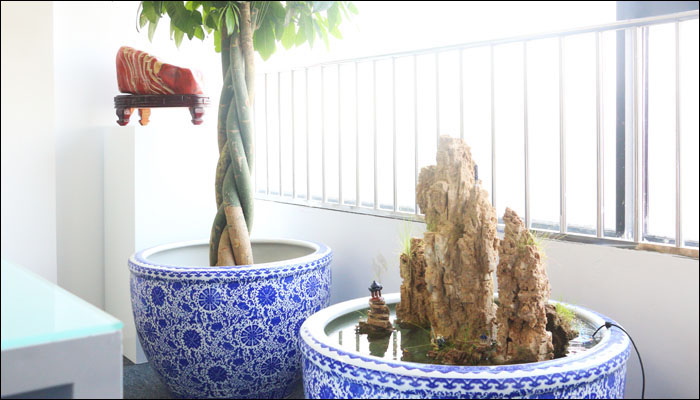 山環(huán)水抱,藏風(fēng)聚氣 山環(huán)水抱,藏風(fēng)聚氣