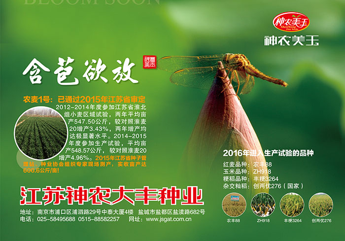 種業(yè)海報設(shè)計